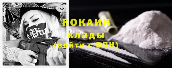 стафф Арсеньев