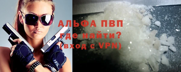 стафф Арсеньев