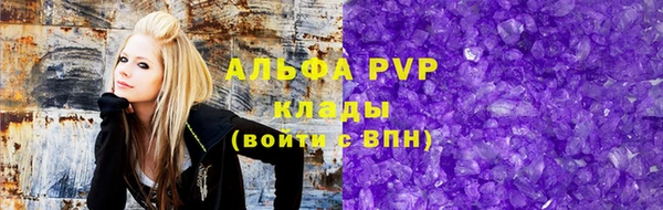 стафф Арсеньев