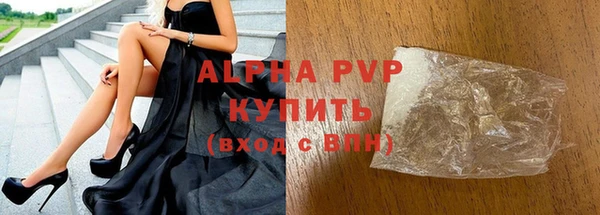 стафф Арсеньев